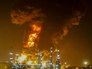 شتران در بهار چگونه بود؟ | آتش سوزی فیتیله تولید شتران را پایین کشید!