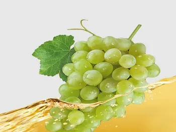 فروش قشهد در مهر ماه چگونه بود؟