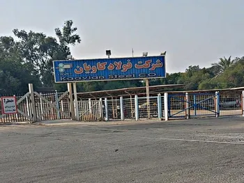 میزان فروش فوکا در خردادماه چگونه بود؟