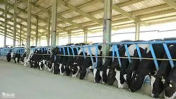 جزئیات عرضه اولیه «زملارد» 21 مرداد 99 + نقدینگی مورد نیاز