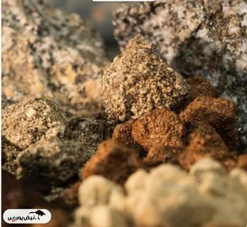 رقابت جهانی بر سر مواد معدنی حیاتی شدت گرفت/ آفریقا به دنبال رهایی از تله خام‌فروشی