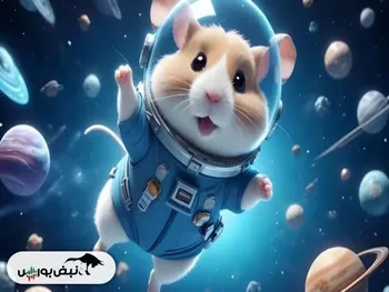 کارت‌های امروز همستر ۱ شهریور + آموزش وارد کردن