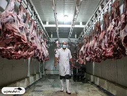 قیمت گوشت قرمز؛ یکشنبه ۱۰ فروردین ۱۴۰۴