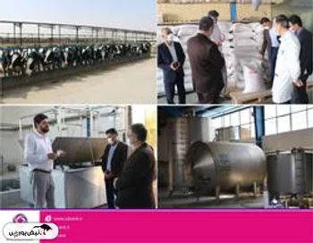 بازدید مدیر استانی بانک ایران زمین از اتحادیه دامداران استان چهارمحال و بختیاری