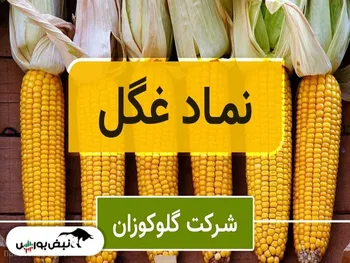 تحلیل غگل امروز ۵ تیر ۱۴۰۱