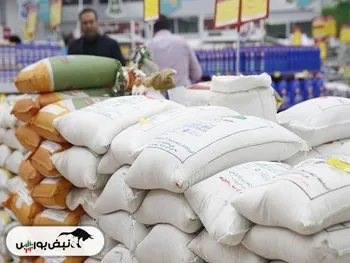 میزان تولید برنج باید واقعی اعلام شود