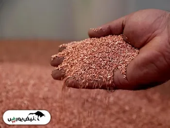 مسی های بورس بخوانند | دومین تولیدکننده مس دنیا به دنبال مالیات ستانی!