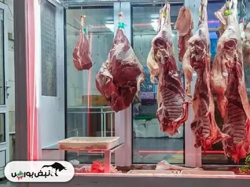 قیمت گوشت قرمز امروز ۵ بهمن ۱۴۰۴