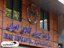 آمار معاملات فیزیکی بورس کالا دوشنبه ۱۳ اسفند ۱۴۰۳ | سهامداران فخوز و سخوز بخوانند