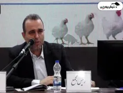 مجمع زماهان ۱۴۰۴ | میزان سود زماهان و زمان واریز آن | آیا شرکت زماهان جریمه شد؟