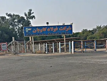 کارنامه ۵ ماهه فوکا منتشر شد