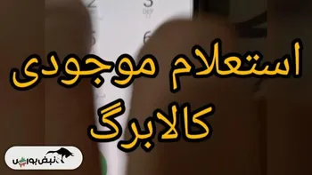 کالابرگ مرحله پنجم | چه کسانی کالابرگ ۶۲۰ هزار تومانی میگیرند؟