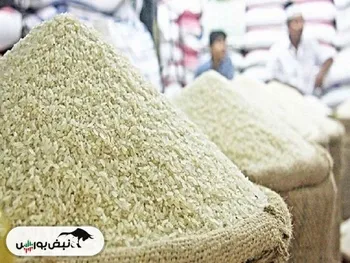 اعلام قیمت جدید انواع برنج ایرانی ۱۴۰۴/۱۰/۲۵