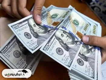 مراقب دام دلالان ارزی باشید