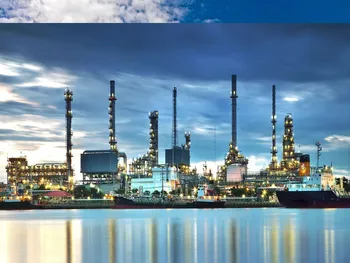 شکربن امسال ۸۲ درصد بیشتر فروخت