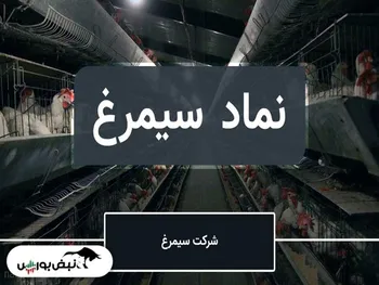 تحلیل سیمرغ امروز ۸ خرداد ۱۴۰۱