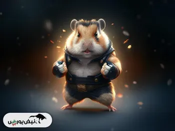 کارت‌های امروز همستر ۳۰ مرداد + چگونه کارت را وارد کنیم؟