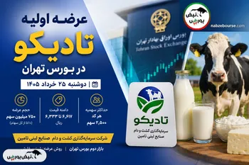 عرضه اولیه «تادیکو» در بورس تهران | جزئیات کامل خرید ششمین عرضه اولیه مهم سال ۱۴۰۵