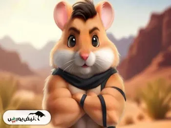 کارت‌های همستر امروز ۹ شهریور + آموزش وارد کردن