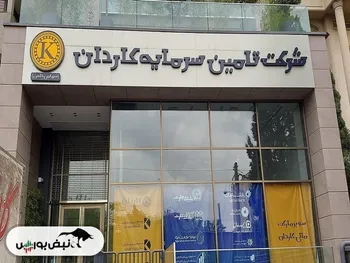 کدام نمادها از عرضه اولیه تکاردان سود می برند؟ | آشنایی با نماد تکاردان