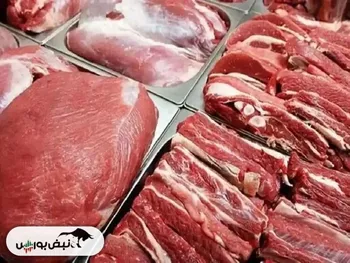 افزایش عرضه گوشت منجمد و گرم عامل اصلی کاهش قیمت گوشت در بازار