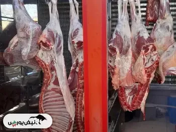 قیمت گوشت قرمز امروز ۱۴ بهمن ۱۴۰۴