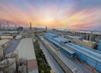 تولید شگویا از مرز یک میلیون تن گذشت