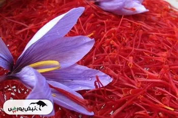 زعفران دارای روز ملی شد