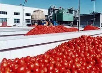 دلیل توقف غشهداب چیست؟