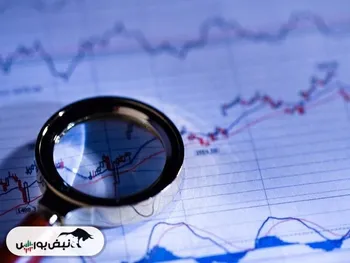 کدال حشکوه | عملکرد ۱۲ ماهه زیر ذره بین