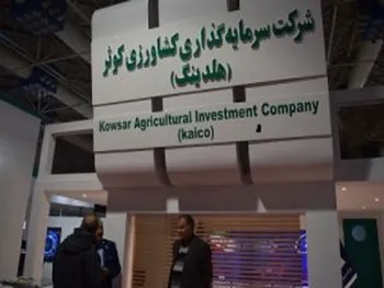 بازگشایی این نماد حداکثر تا ساعت ۱۰