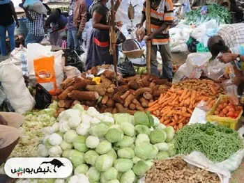 شاخص قیمت جهانی غذا اوج گرفت