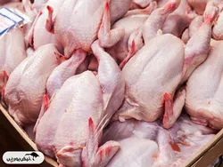 قیمت گوشت مرغ، امروز ۱۷ تیر ۱۴۰۴