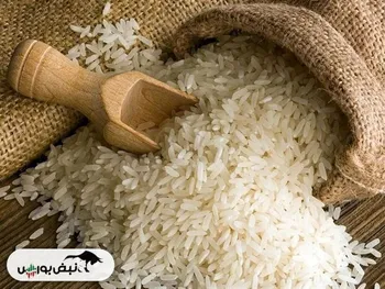 صادرات برنج پاکستان به اوج می‌رسد