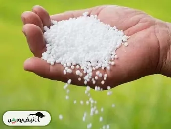 مطالبات ۵۰ همتی اوره‌سازان از دولت به کجا رسید؟