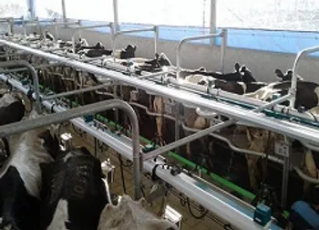 رشد 18 درصدی سود خالص «زمگسا»