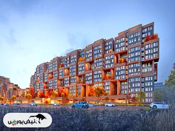 ثغرب مجمع برگزار می کند