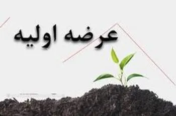 برنامه ای برای افزایش سرمایه نداریم