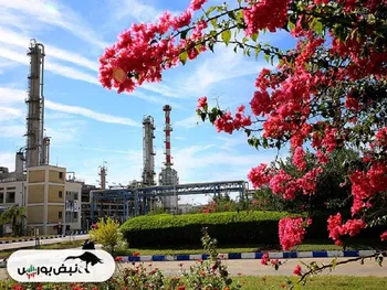 کدال شاوان | درعملکرد ۸ ماهه چه کرد؟