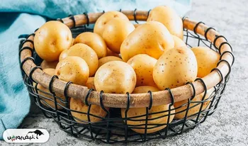 صادرات به پاکستان، واردات از پاکستان | وزیر جهاد کشاورزی برای گرانی سیب زمینی پاسخگوست؟