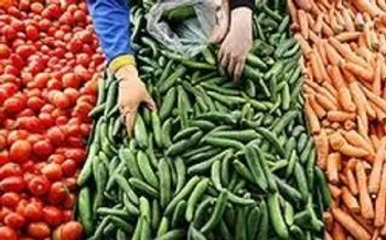 پشت پرده گرانی خیار