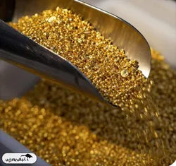 طلای جهان در انحصار چند کشور