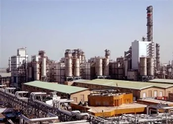 افزایش ۴۲ درصدی شگویا نسبت به سال ۹۸