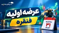عرضه اولیه فنقره سه‌شنبه انجام می‌شود؛ قیمت، سهمیه و نقدینگی موردنیاز چقدر است؟