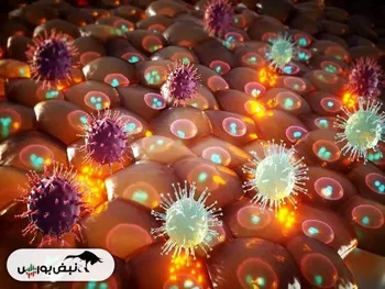 احتمال شیوع این بیماری در کشور قوت گرفت | شیوع ۳ بیماری خطرناک از افغانستان به ایران