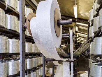 دلیل توقف شلیا چیست؟