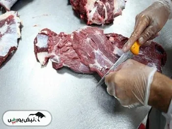 راز گرانی شدید گوشت قرمز