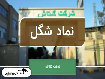 مجمع شگل ۱۴۰۰ | سود تقسیمی شگل چقدر بود؟