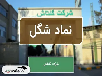 تحلیل شگل امروز ۲۸ دی ۱۴۰۱