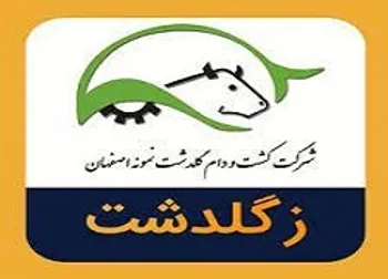 افزایش ۱۳ درصدی در این نماد